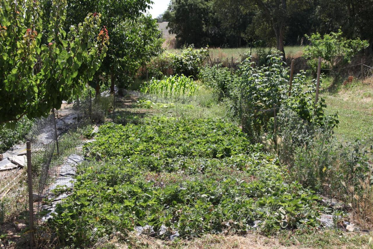 Can Cabanyes Llagostera Eksteriør bilde